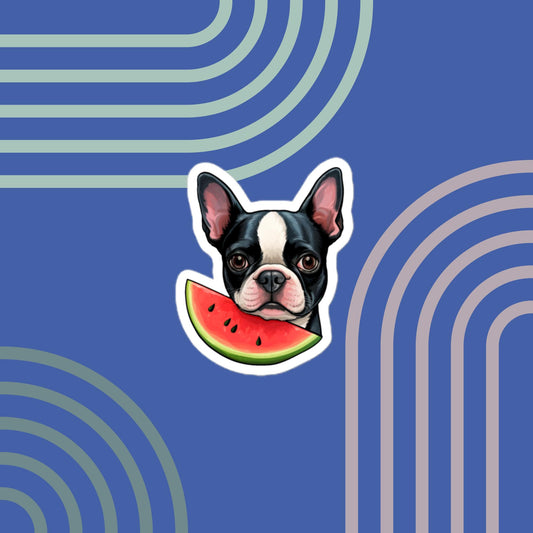 Boston Terrier with Watermelon Sticker